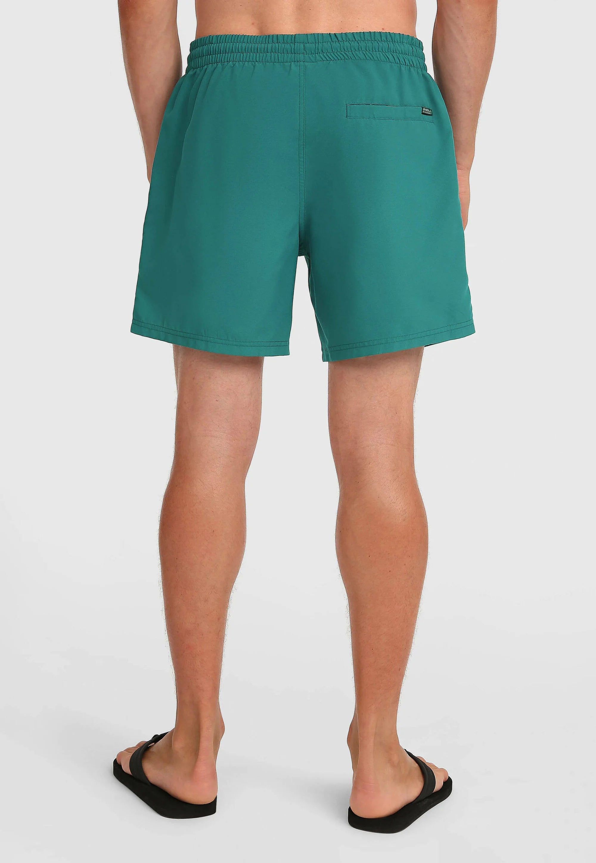 Short de bain O'Neill Logo 16 - Botanical Heat