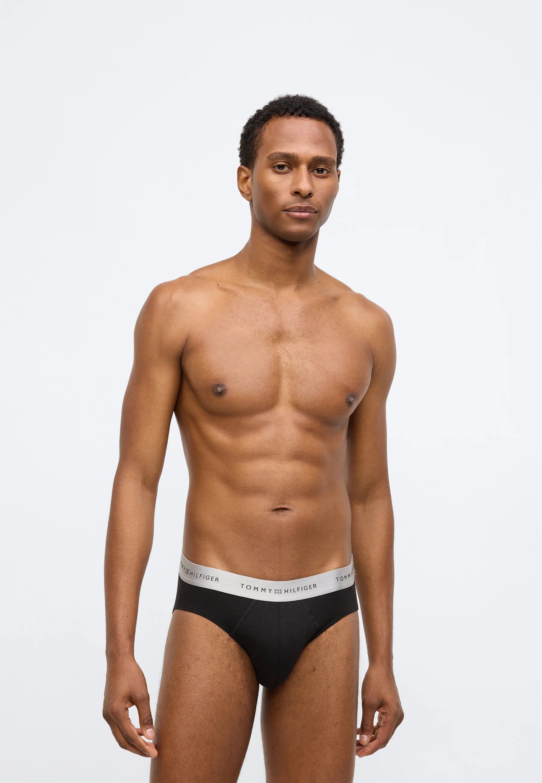 Tommy Hilfiger Signature Brief Metallic 3 Pack – Black, Desert Sky, Silver