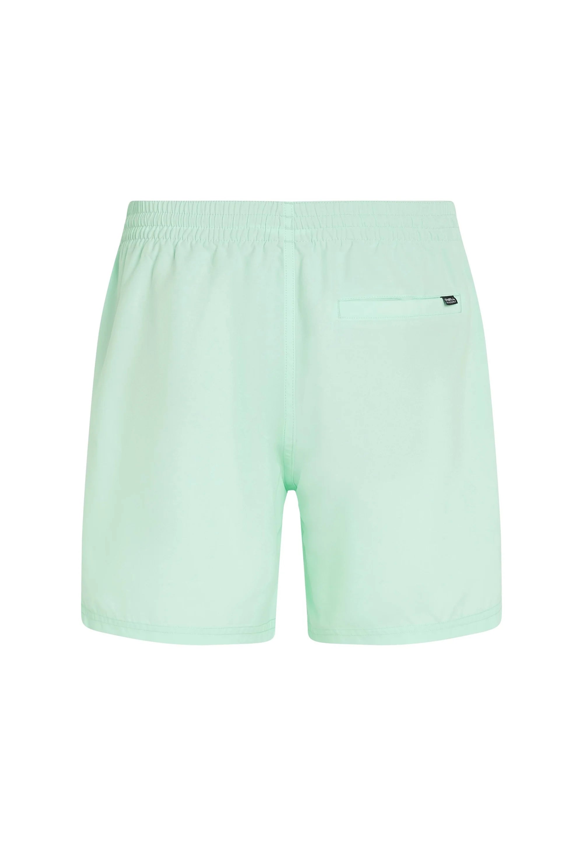 O’Neill Cali 16 Swim Shorts – Mildrew Mint