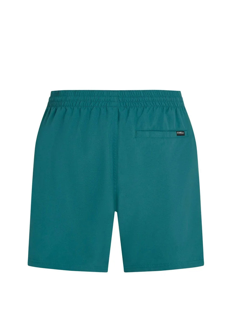 O’Neill Cali 16 Swim Shorts – Botanical Heat