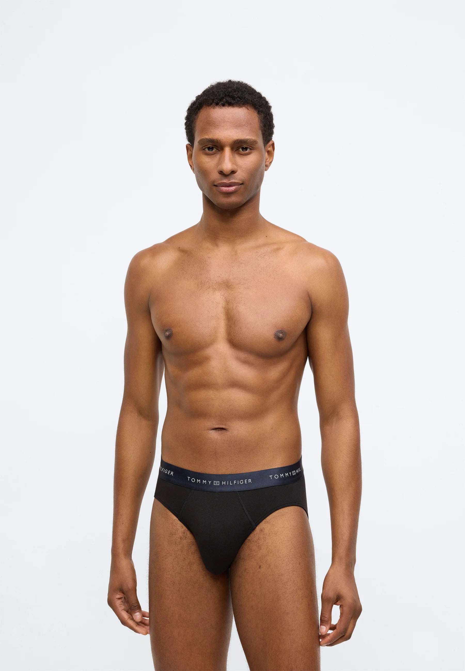 Tommy Hilfiger Signature Brief Metallic 3 Pack – Black, Desert Sky, Silver