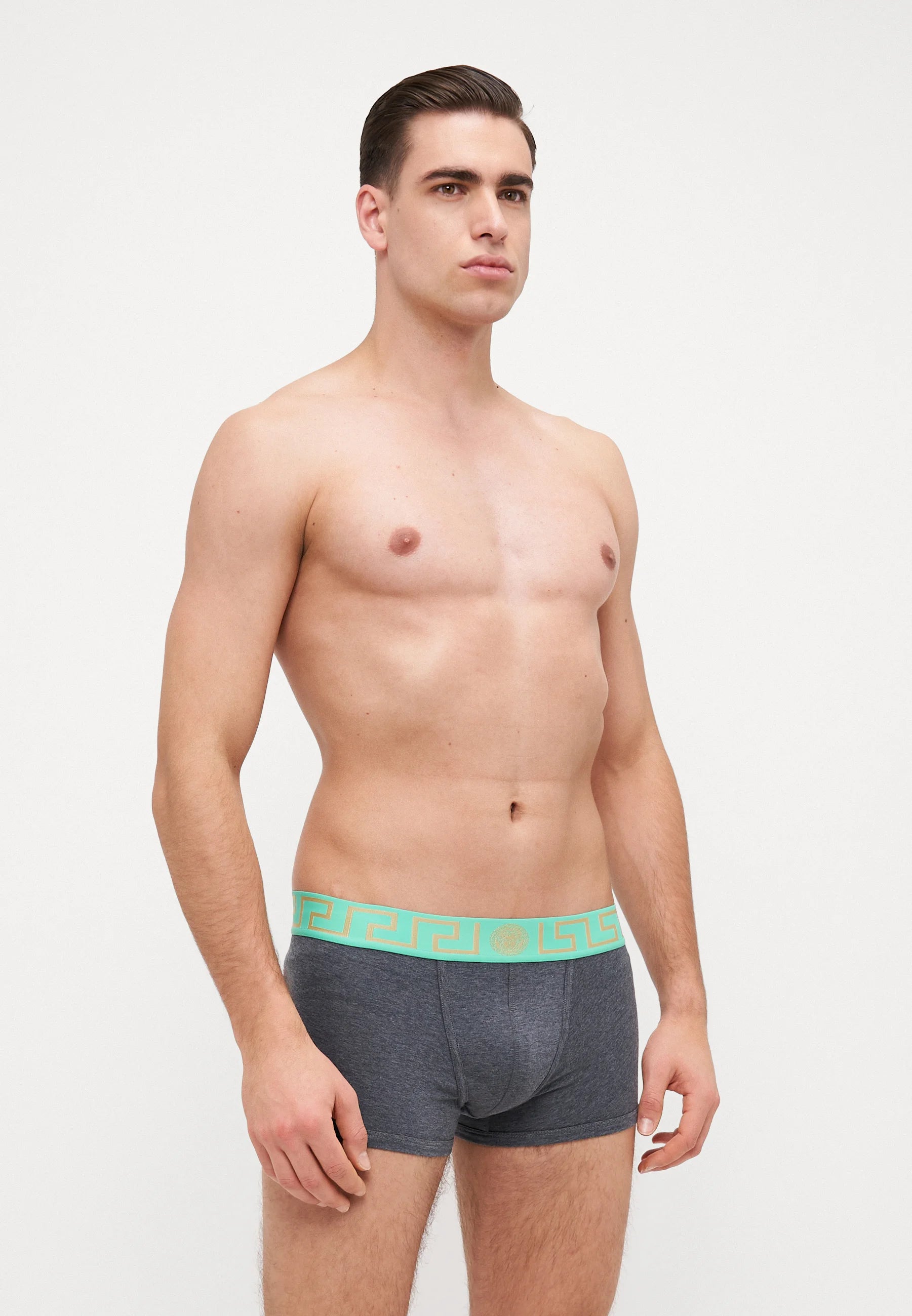 Bavlněné Stretch Low Rise Trunks – šedá melanž, máta, oro
