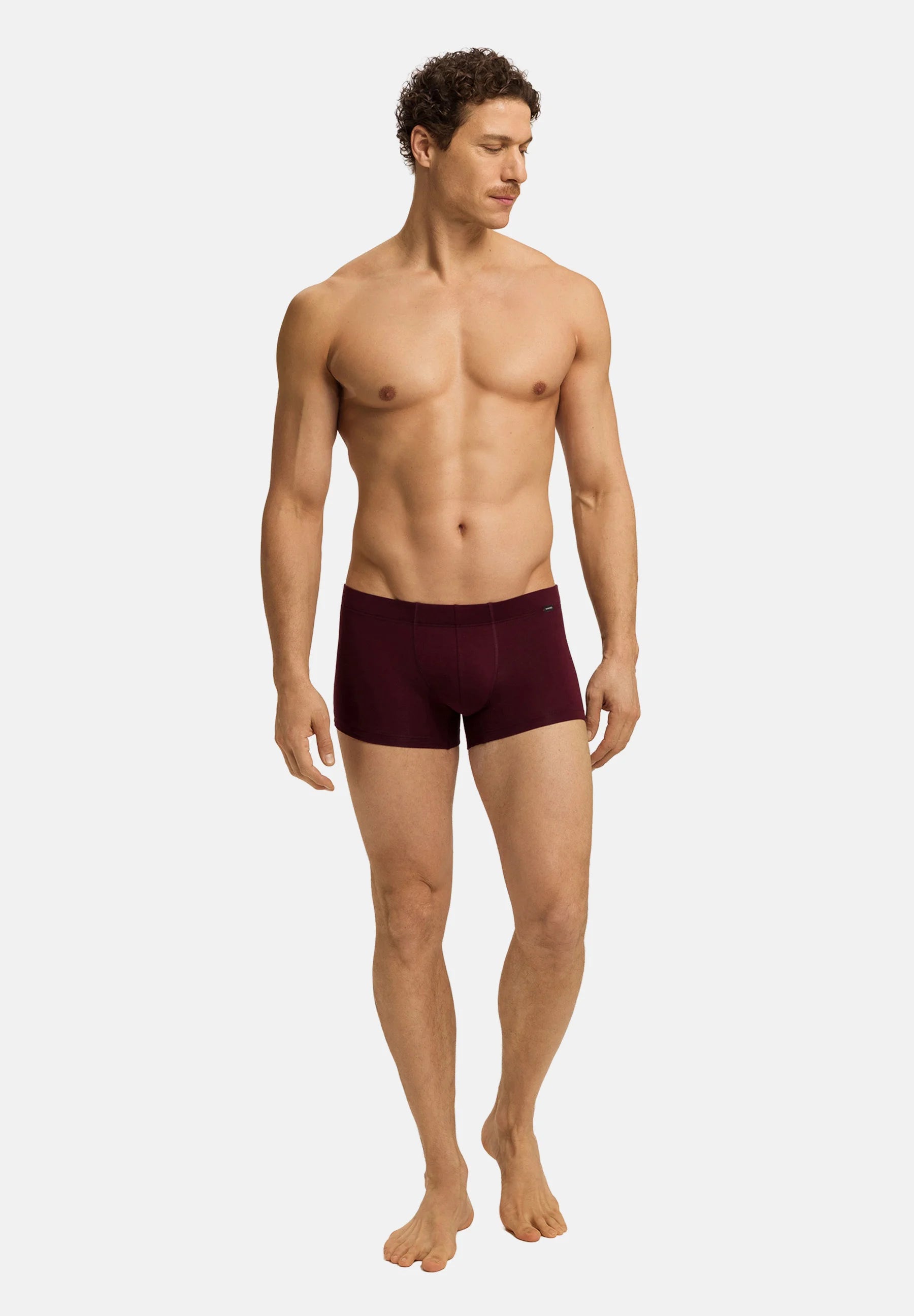 HANRO ESSENTIALS 2er-Pack Unterhosen – Barolo, Ombre Blue