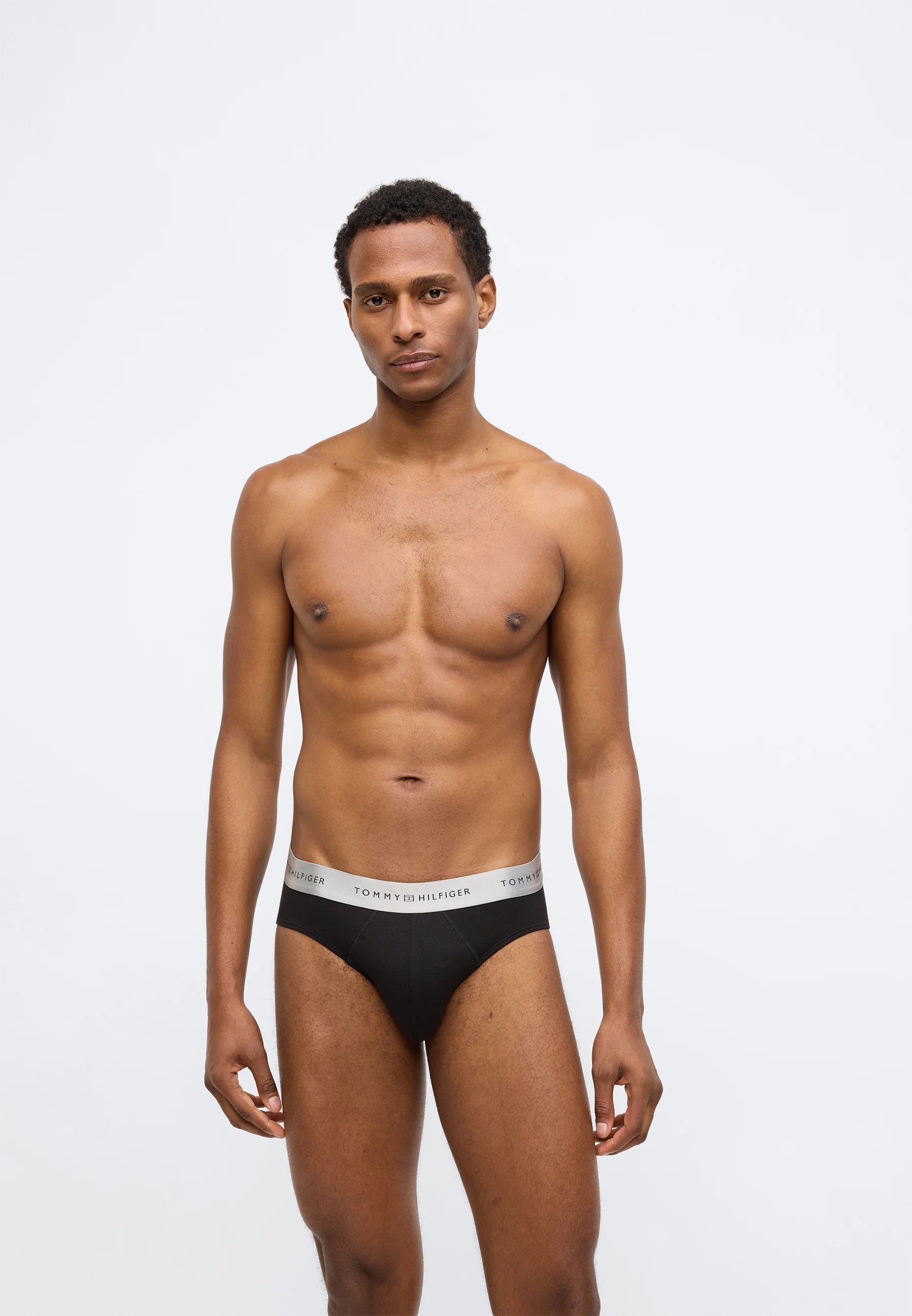 Tommy Hilfiger Signature Brief Metallic 3 Pack – Black, Desert Sky, Silver