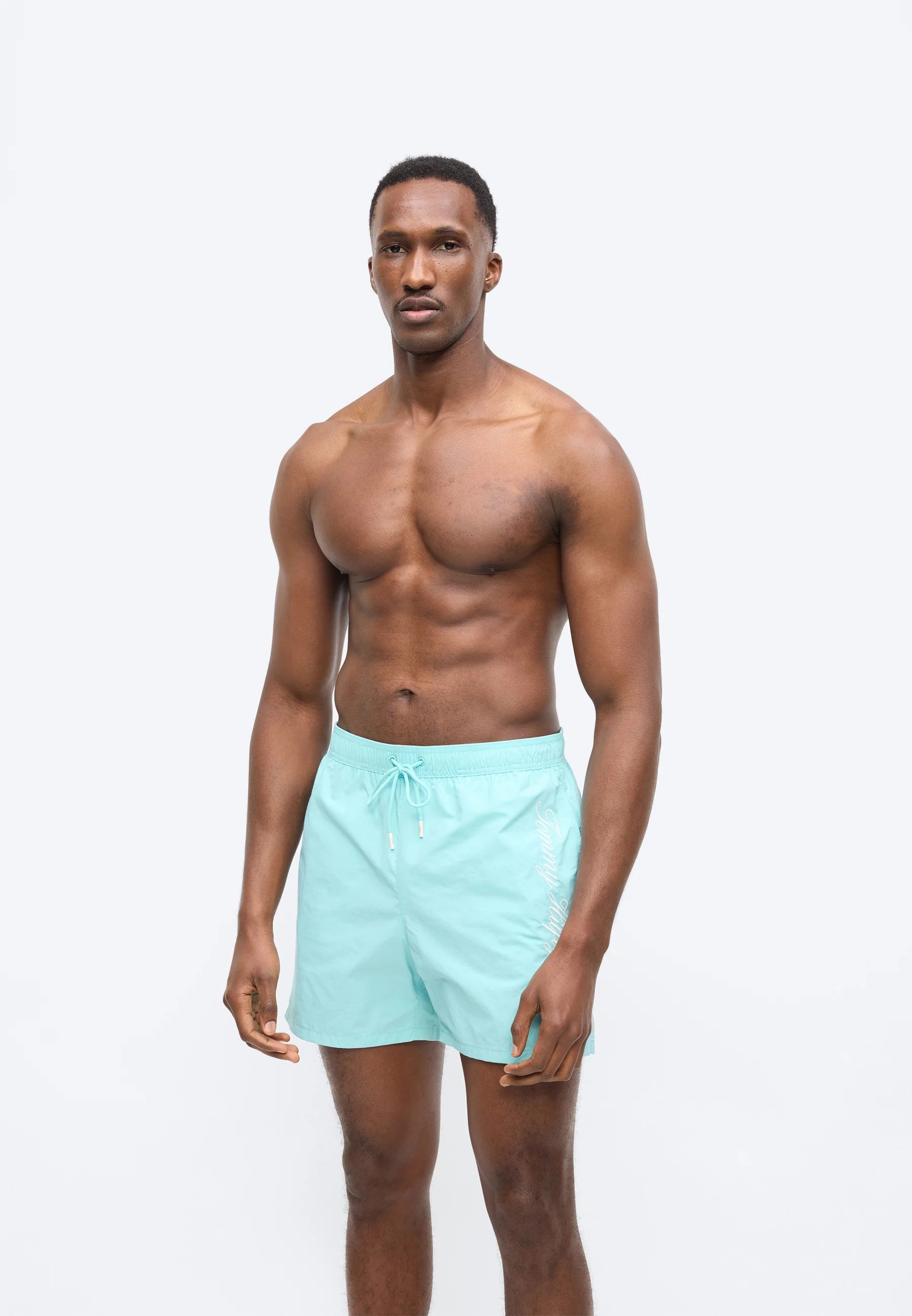 Tommy Hilfiger Script Logo Swim Shorts – Arctic Aqua