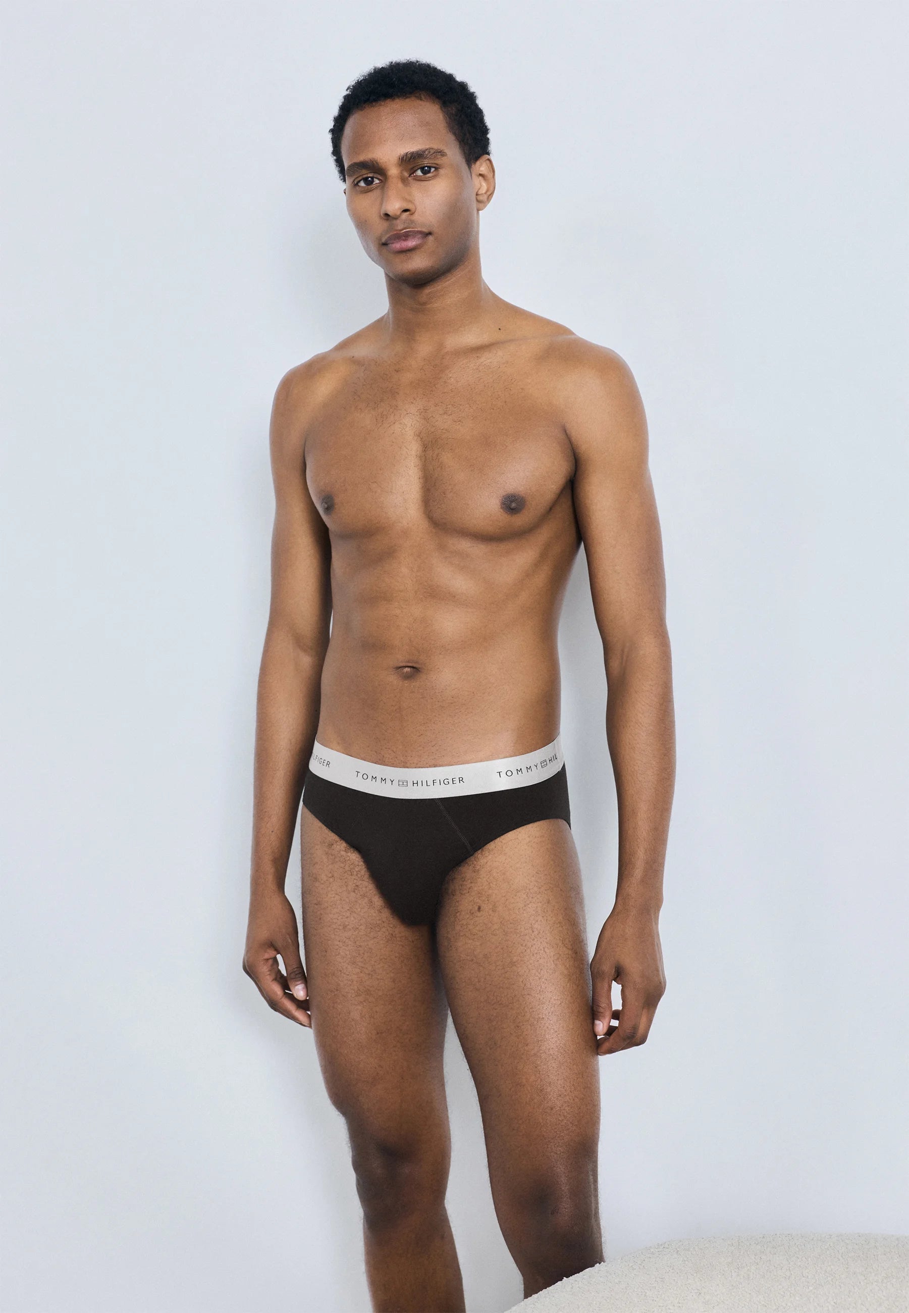 Tommy Hilfiger Signature Brief Metallic 3 Pack – Black, Desert Sky, Silver