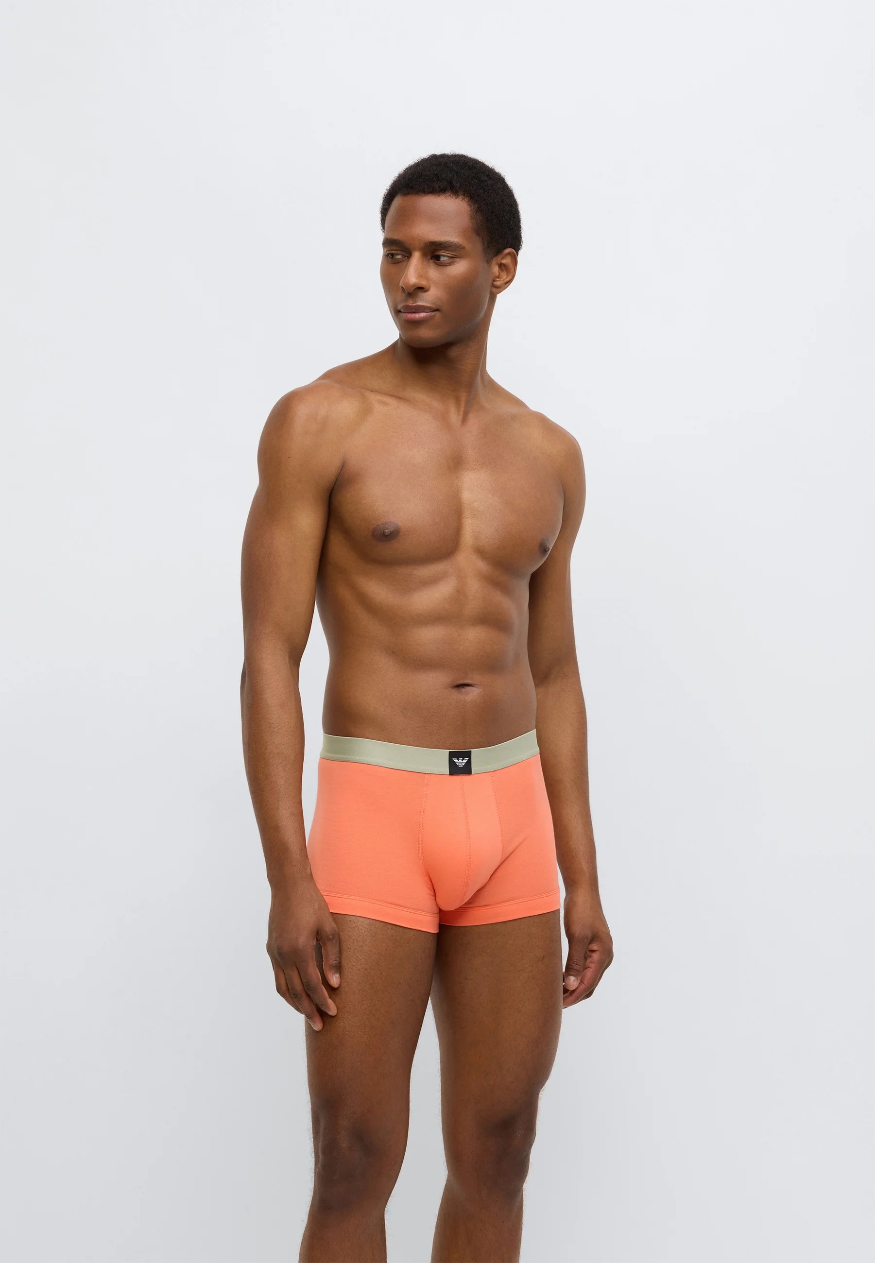 Emporio Armani ESSENTIAL Logo Label 3er-Pack Unterhosen – Schwarz, Salbei, Kamelie