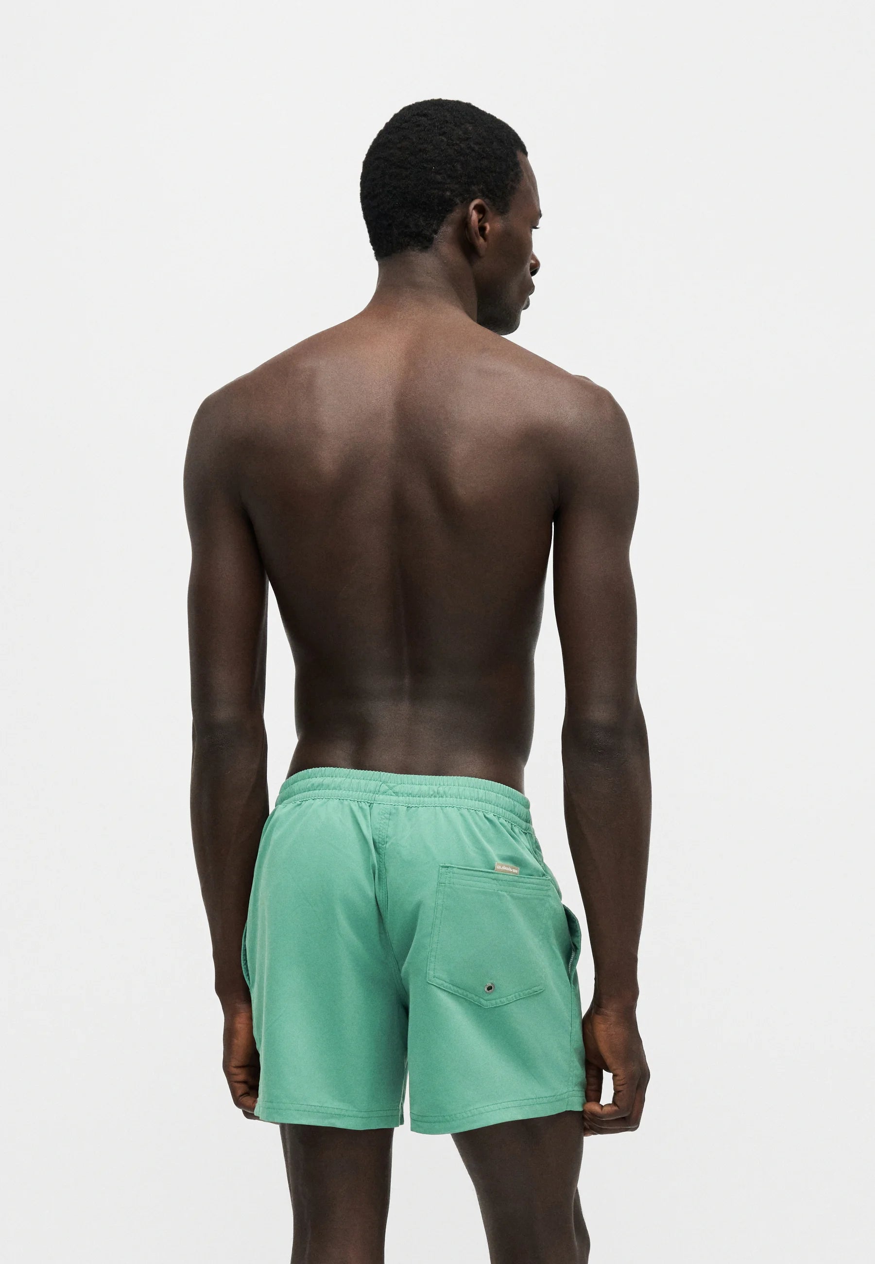 Short de bain Quiksilver Everyday Volley – Vert Leprechaun