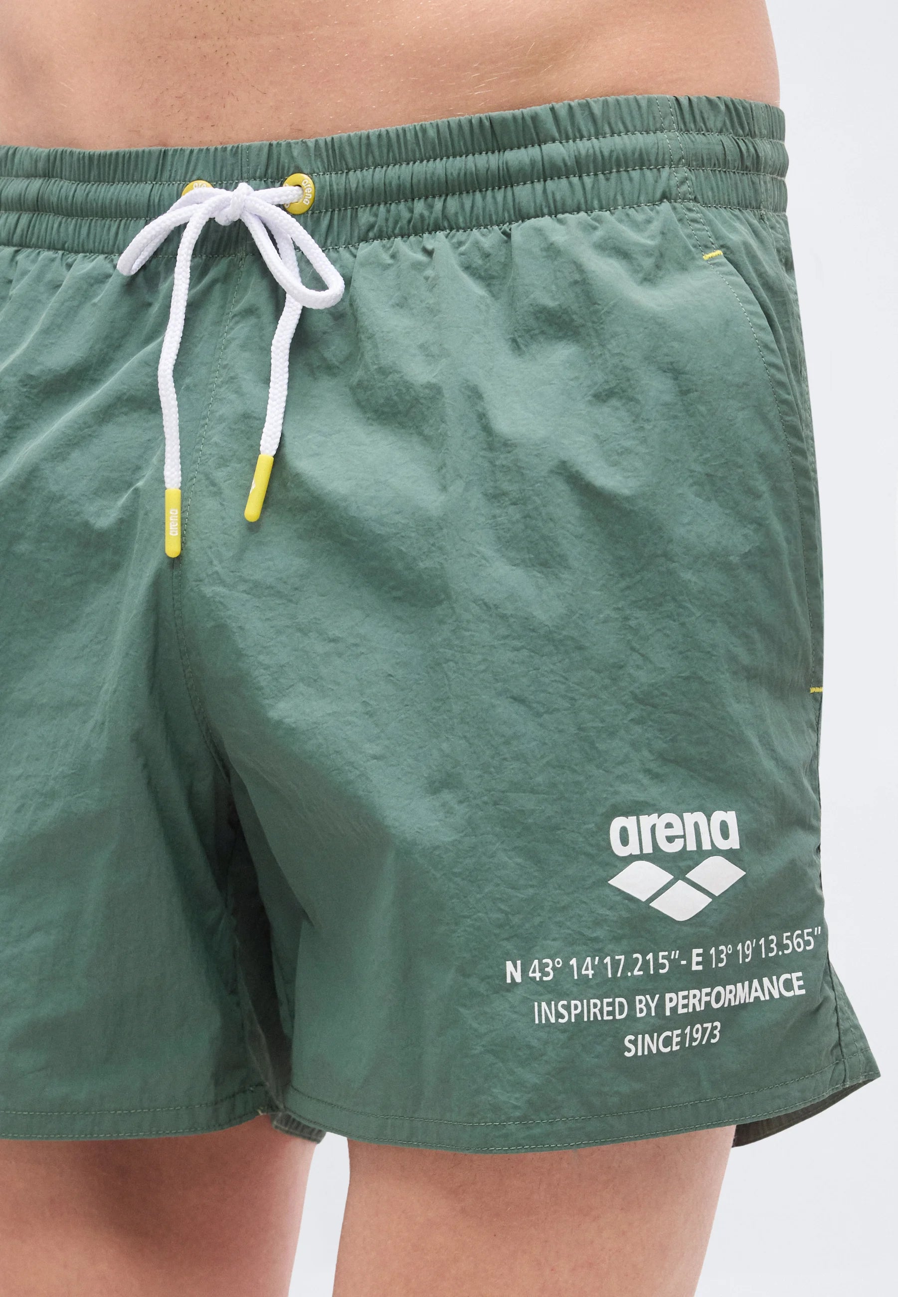 Short de plage graphique Arena – Sauge
