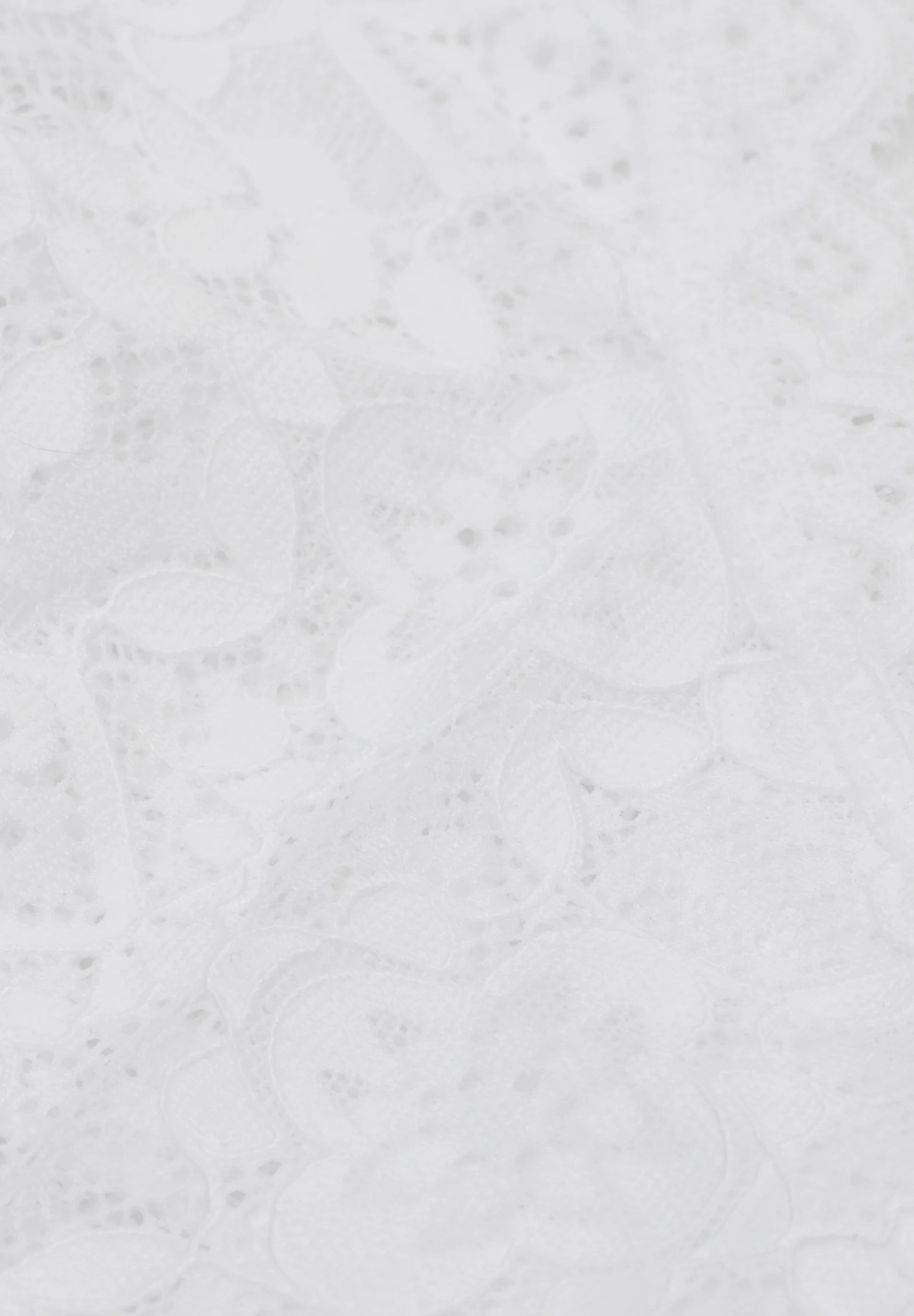 Intimissimi String Ajusté – Blanc