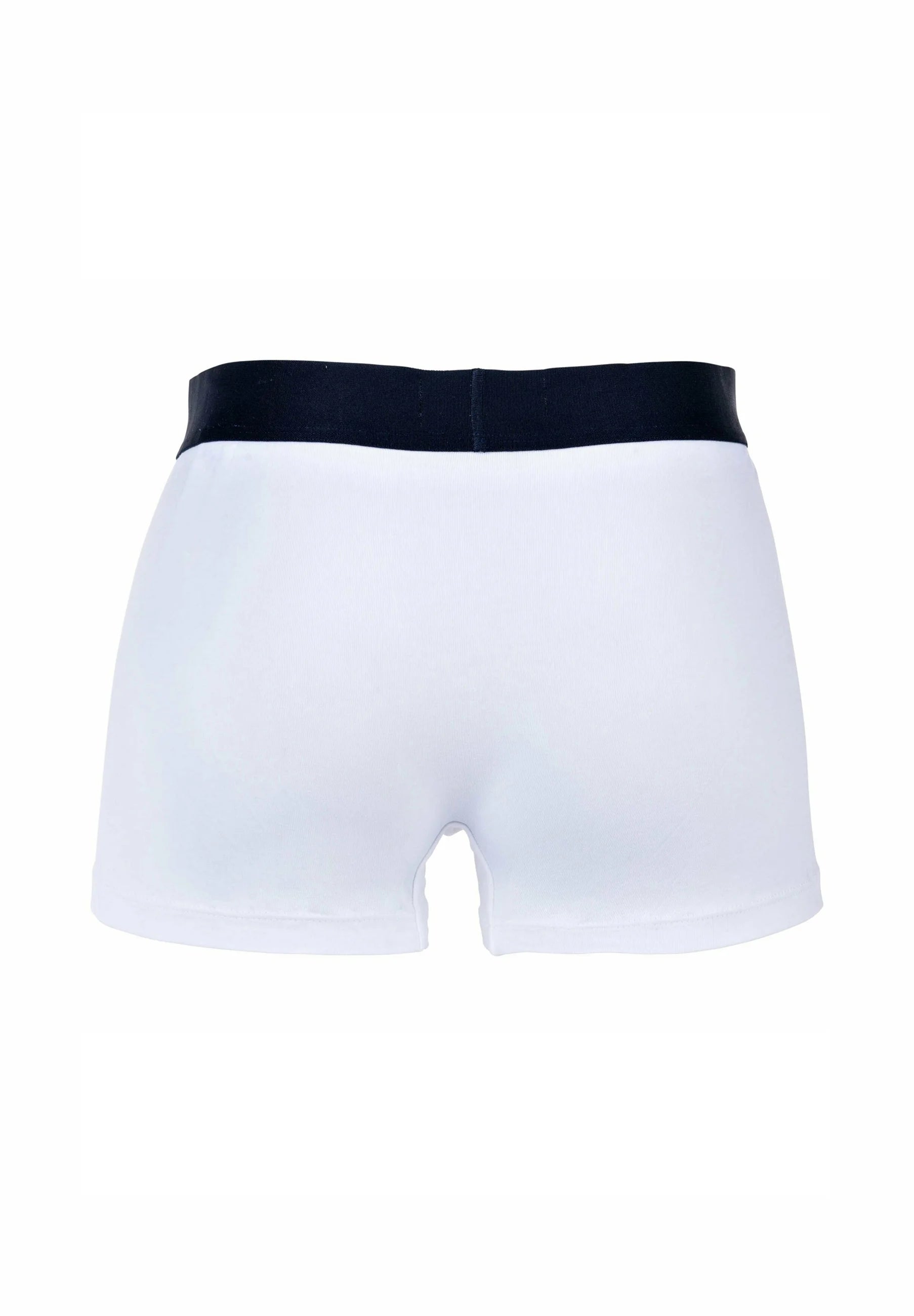 Lacoste 6 Pack Big Croc Print Stretch Trunks – Green, Dark Blue, White