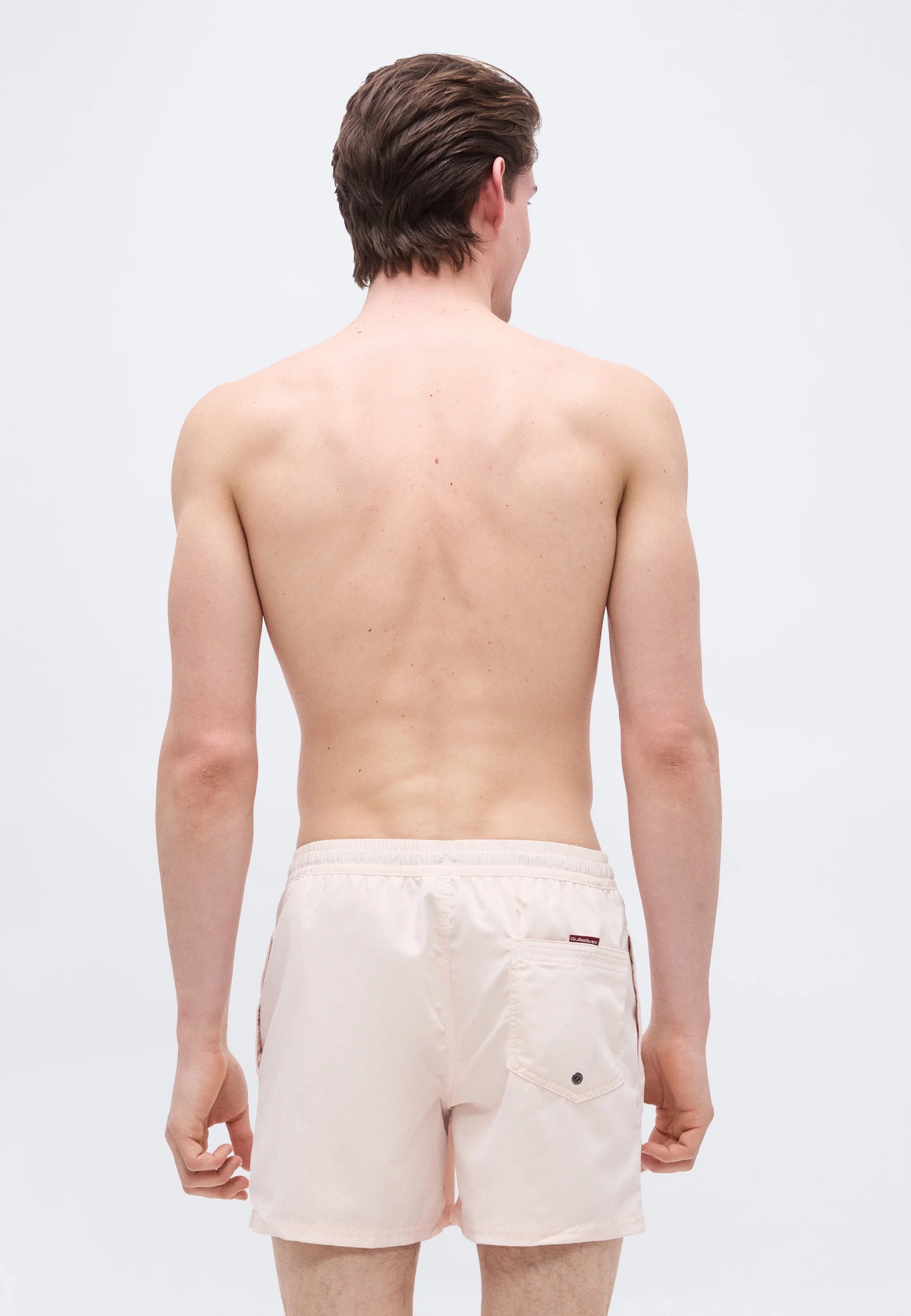 Quiksilver Everyday Volley Swim Shorts – Rosewater