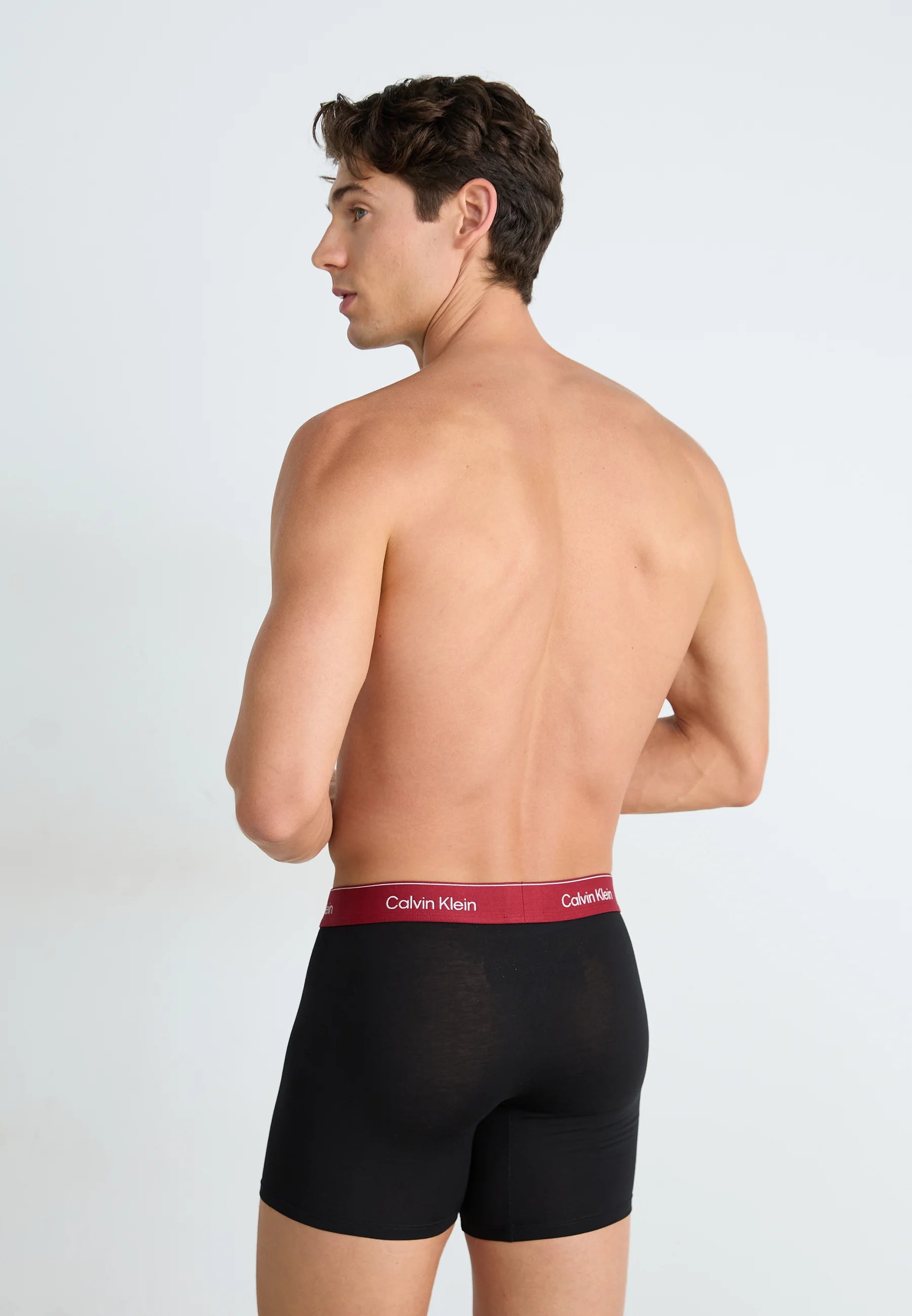 Calvin Klein Icon Cotton Stretch Briefs – 3 Pack – Black, Fall Berry, Frozen