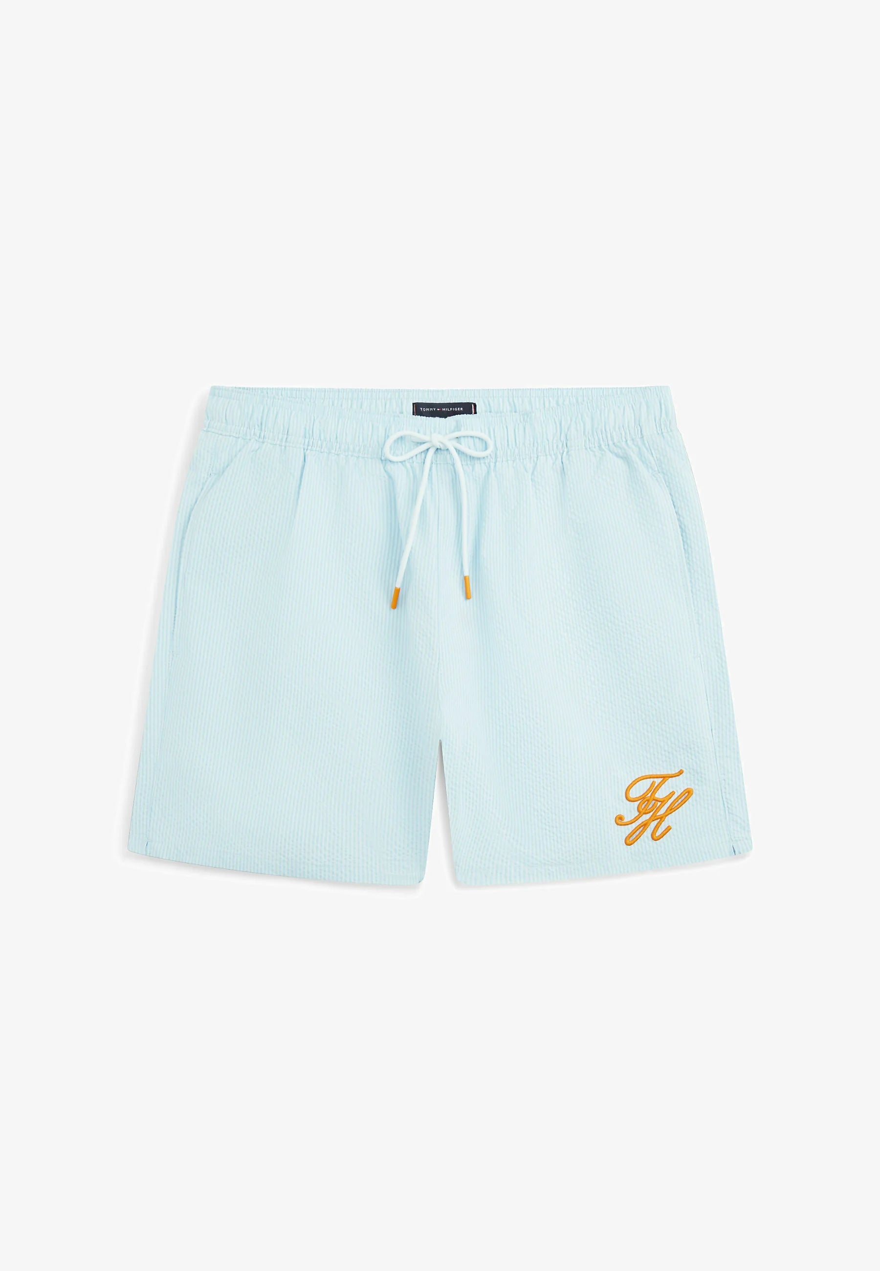 Tommy Hilfiger Ithaca Stripe Badeshorts – Tonal Ithaca Keepsake Blue