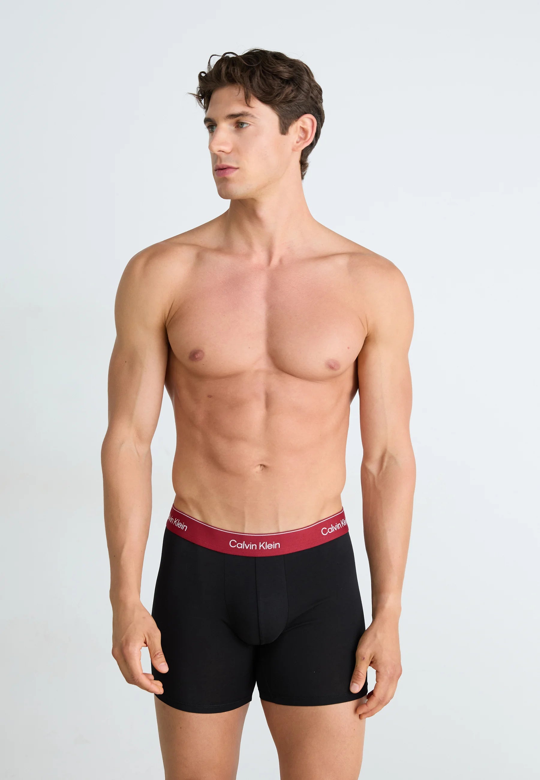 Calvin Klein Icon Cotton Stretch Briefs – 3 Pack – Black, Fall Berry, Frozen